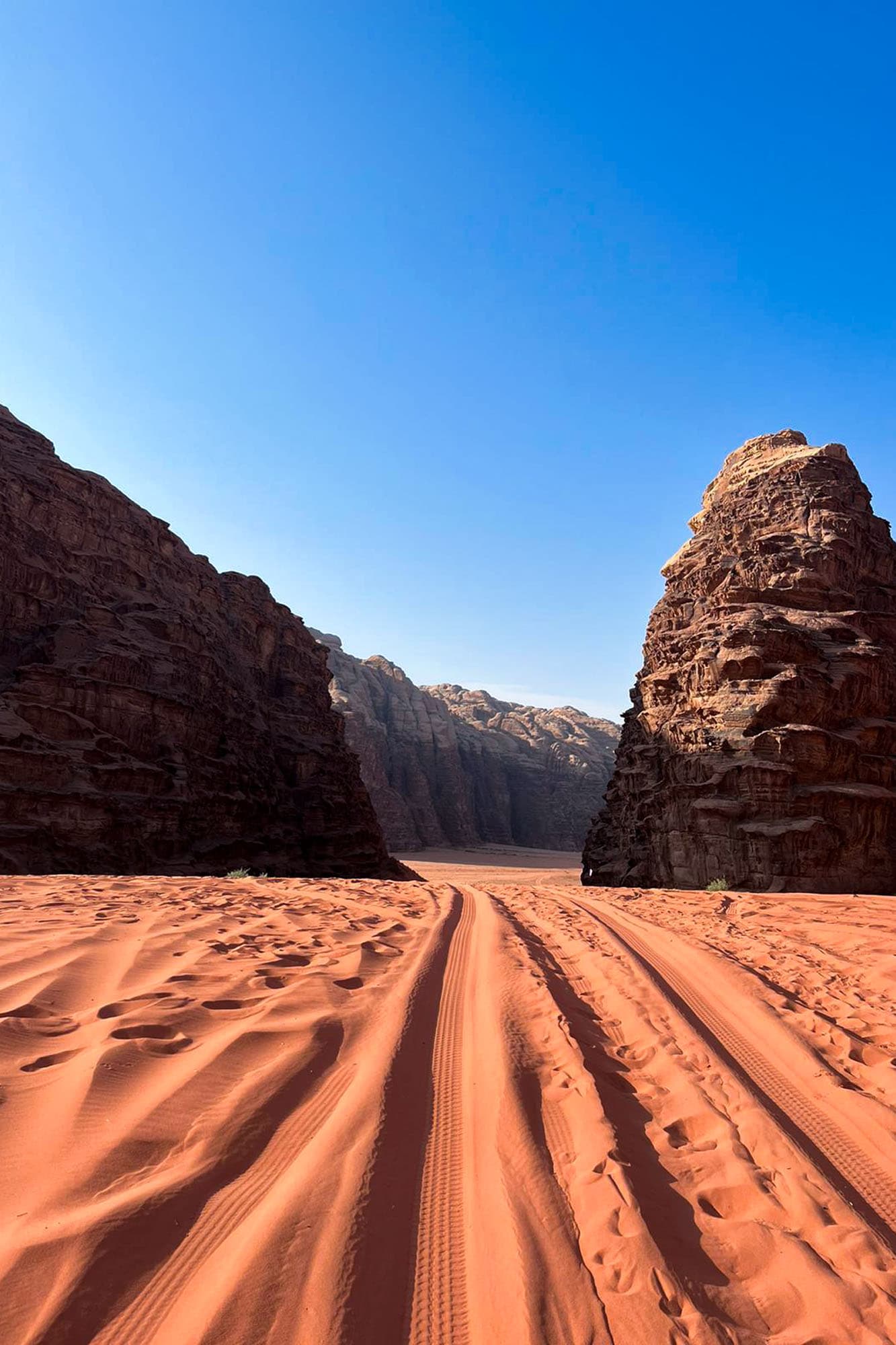 felix-sonnenschein_03