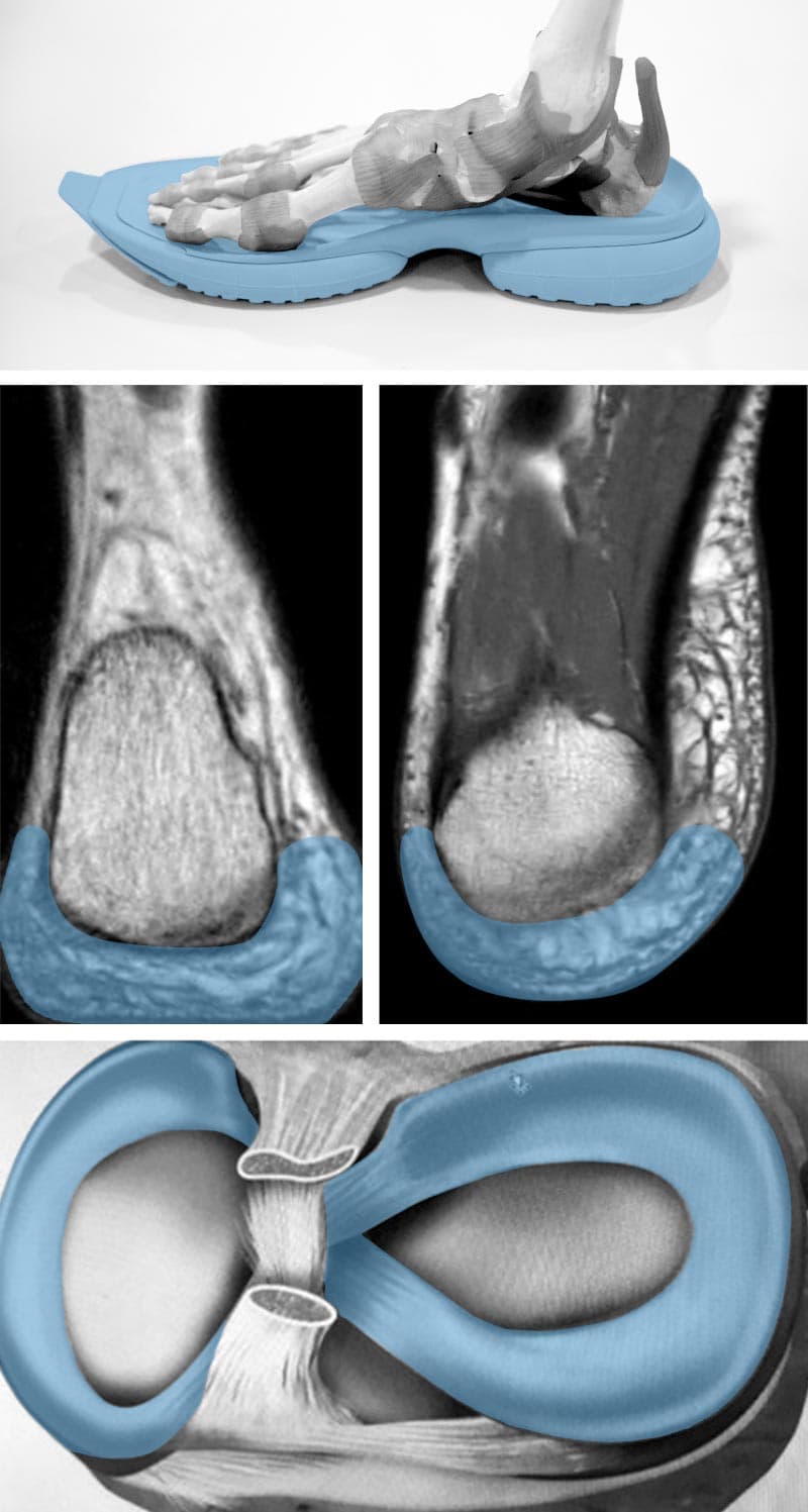 01_collage_anatomie_mouseover_1920x1920